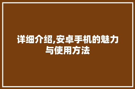 详细介绍,安卓手机的魅力与使用方法