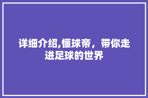 详细介绍,懂球帝,带你走进足球的世界 详细介绍,懂球帝,带你走进足球的世界