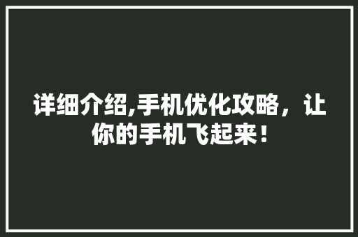 详细介绍,手机优化攻略,让你的手机飞起来! 详细介绍,手机优化攻略,让你的手机飞起来!