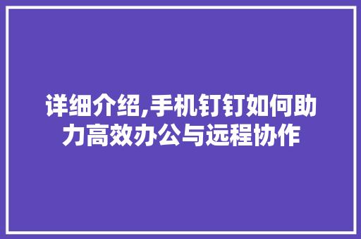 详细介绍,手机钉钉如何助力高效办公与远程协作 详细介绍,手机钉钉如何助力高效办公与远程协作