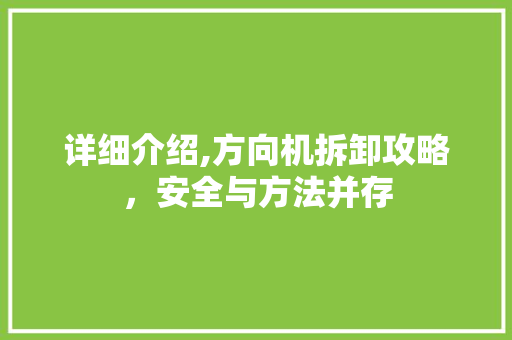 详细介绍,方向机拆卸攻略，安全与方法并存 Web前端