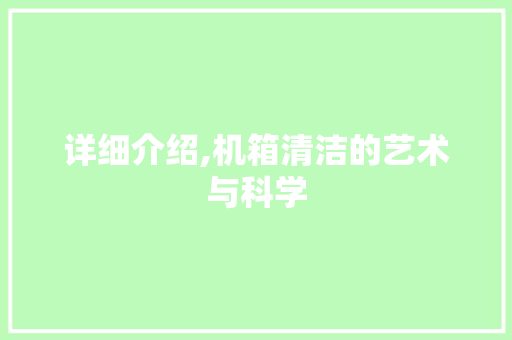 详细介绍,机箱清洁的艺术与科学