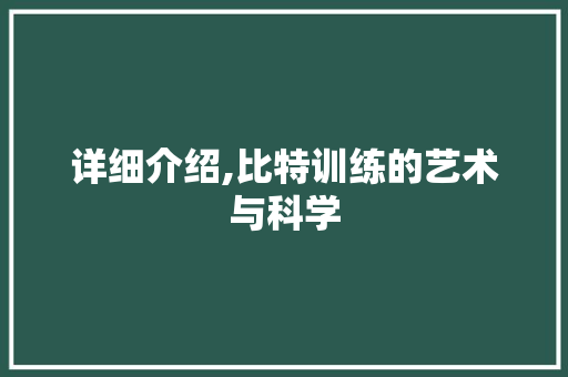详细介绍,比特训练的艺术与科学