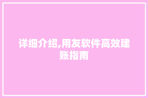 详细介绍,用友软件高效建账指南