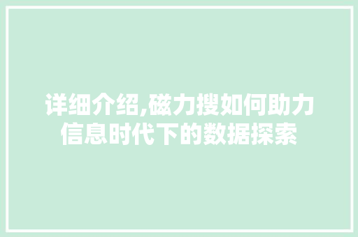 详细介绍,磁力搜如何助力信息时代下的数据探索