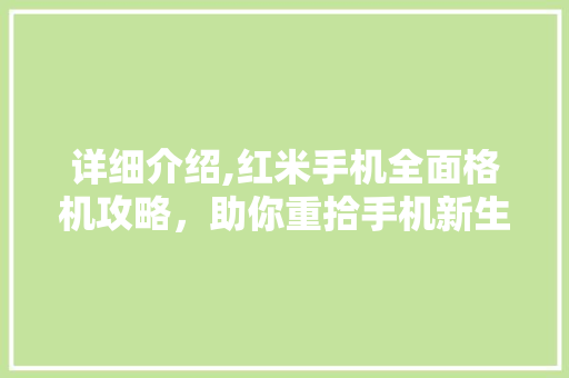 详细介绍,红米手机全面格机攻略，助你重拾手机新生命
