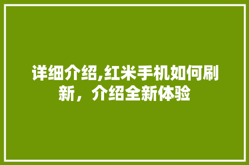 详细介绍,红米手机如何刷新，介绍全新体验