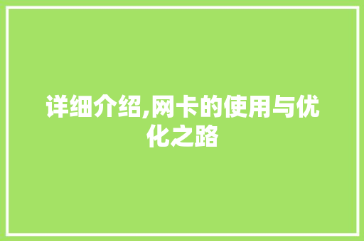 详细介绍,网卡的使用与优化之路 SEO教程