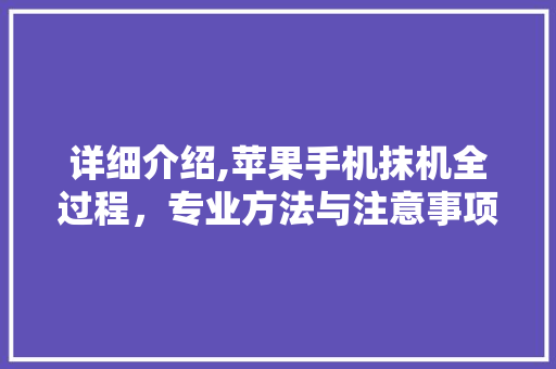 详细介绍,苹果手机抹机全过程，专业方法与注意事项介绍 SEO教程