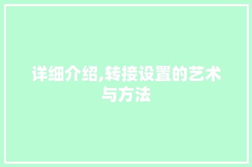 详细介绍,转接设置的艺术与方法 友链在线