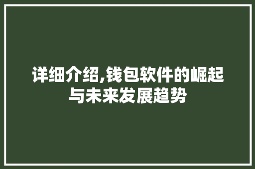 详细介绍,钱包软件的崛起与未来发展趋势 友链在线