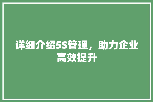详细介绍5S管理，助力企业高效提升
