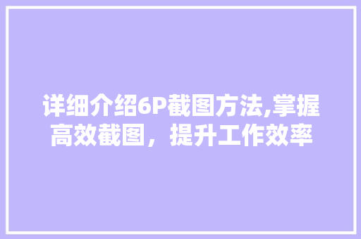 详细介绍6P截图方法,掌握高效截图，提升工作效率