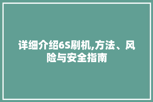 详细介绍6S刷机,方法、风险与安全指南