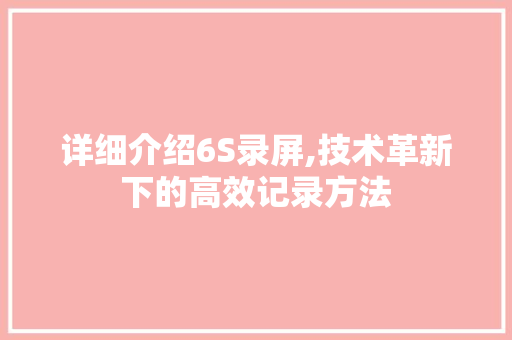 详细介绍6S录屏,技术革新下的高效记录方法