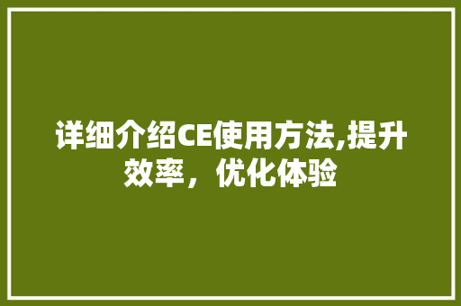 详细介绍CE使用方法,提升效率，优化体验