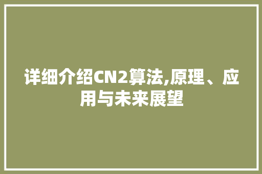 详细介绍CN2算法,原理、应用与未来展望