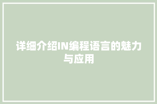 详细介绍IN编程语言的魅力与应用