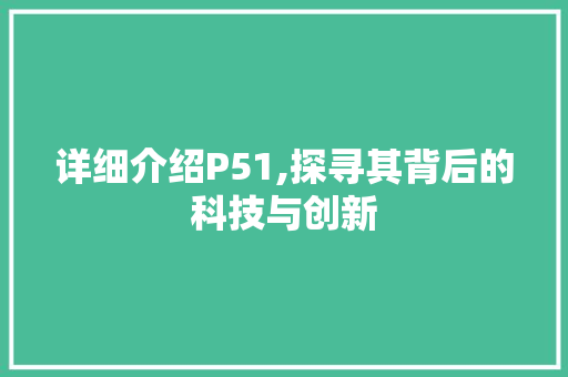 详细介绍P51,探寻其背后的科技与创新
