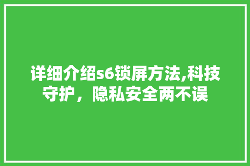详细介绍s6锁屏方法,科技守护，隐私安全两不误 Web前端