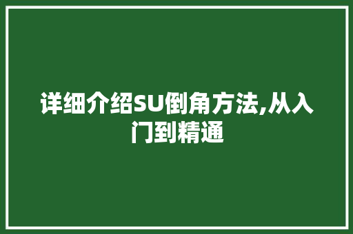 详细介绍SU倒角方法,从入门到精通