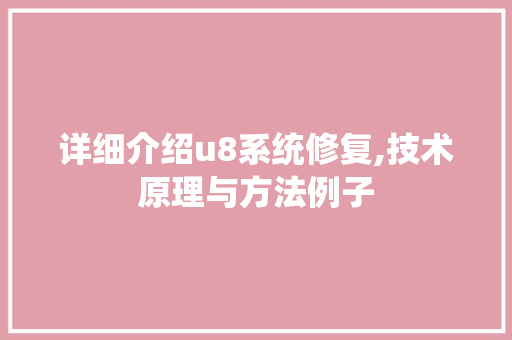 详细介绍u8系统修复,技术原理与方法例子