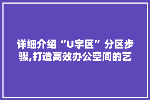 详细介绍“U字区”分区步骤,打造高效办公空间的艺术 服务器/数据库
