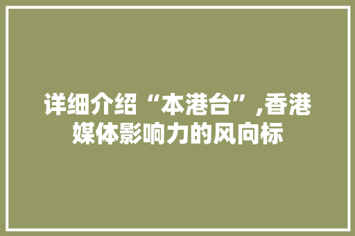 详细介绍“本港台”,香港媒体影响力的风向标 建站教程