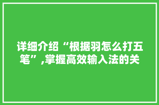 详细介绍“根据羽怎么打五笔”,掌握高效输入法的关键步骤 服务器/数据库