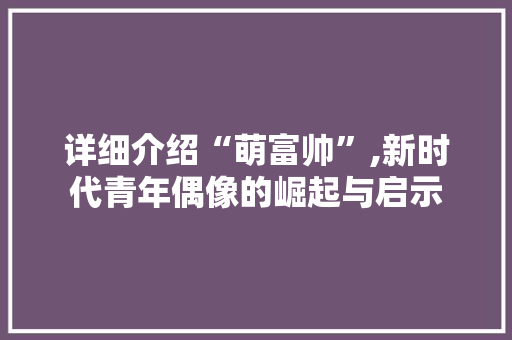 详细介绍“萌富帅”,新时代青年偶像的崛起与启示 服务器/数据库