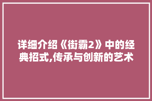 详细介绍《街霸2》中的经典招式,传承与创新的艺术