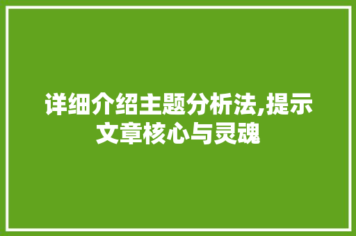 详细介绍主题分析法,提示文章核心与灵魂 SEO教程