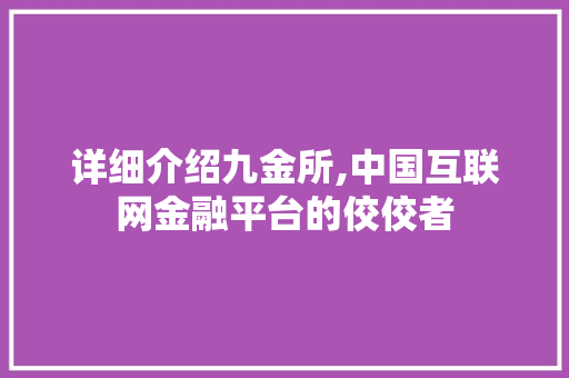 详细介绍九金所,中国互联网金融平台的佼佼者