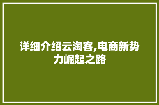 详细介绍云淘客,电商新势力崛起之路 建站教程