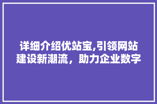 详细介绍优站宝,引领网站建设新潮流，助力企业数字化转型 SEO教程