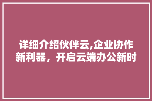 详细介绍伙伴云,企业协作新利器，开启云端办公新时代