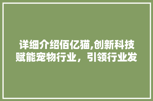 详细介绍佰亿猫,创新科技赋能宠物行业，引领行业发展新风向 SEO教程