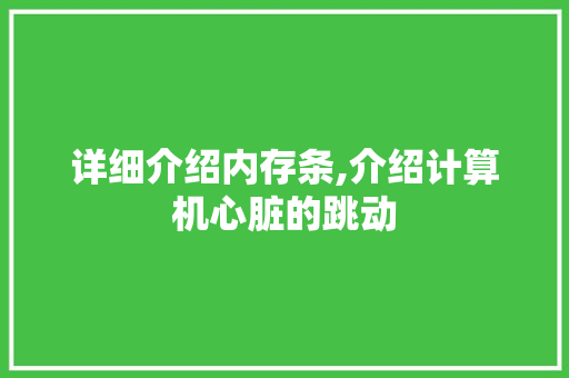 详细介绍内存条,介绍计算机心脏的跳动