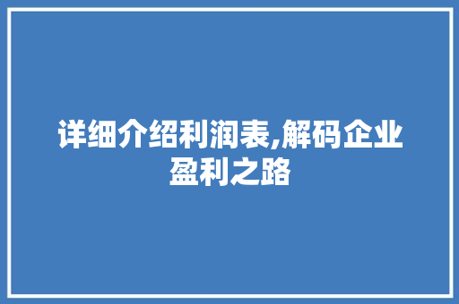 详细介绍利润表,解码企业盈利之路