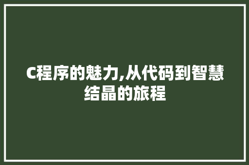 C程序的魅力,从代码到智慧结晶的旅程