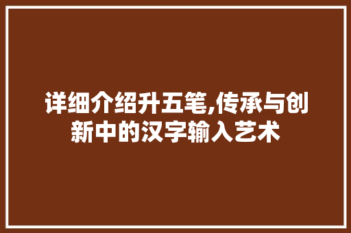 详细介绍升五笔,传承与创新中的汉字输入艺术