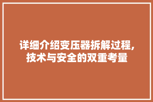 详细介绍变压器拆解过程,技术与安全的双重考量