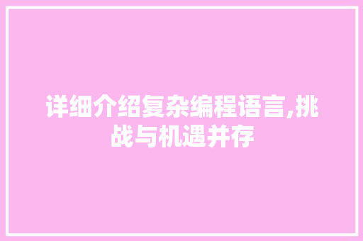 详细介绍复杂编程语言,挑战与机遇并存