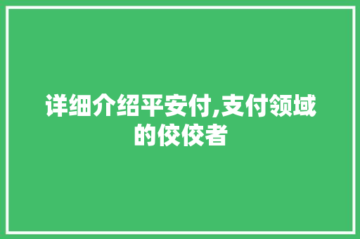 详细介绍平安付,支付领域的佼佼者