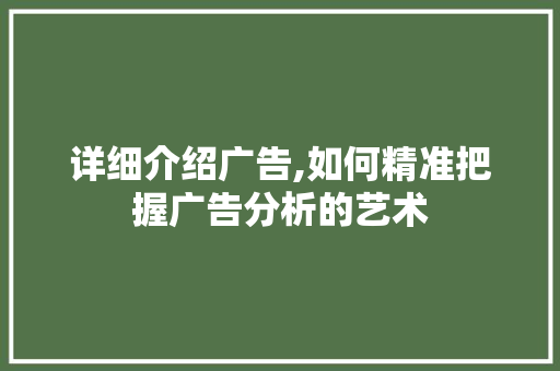 详细介绍广告,如何精准把握广告分析的艺术 建站教程