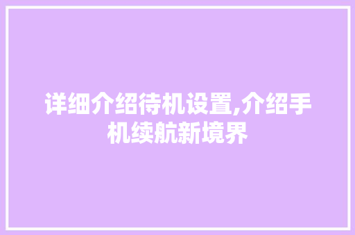详细介绍待机设置,介绍手机续航新境界 建站教程