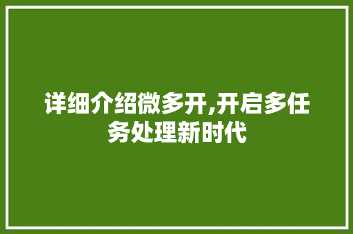 详细介绍微多开,开启多任务处理新时代 服务器/数据库
