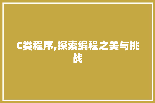C类程序,探索编程之美与挑战
