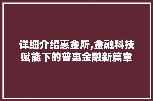 详细介绍惠金所,金融科技赋能下的普惠金融新篇章