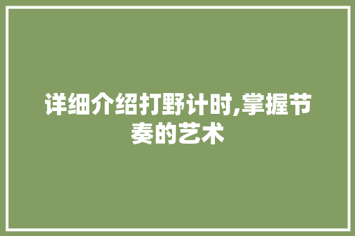 详细介绍打野计时,掌握节奏的艺术